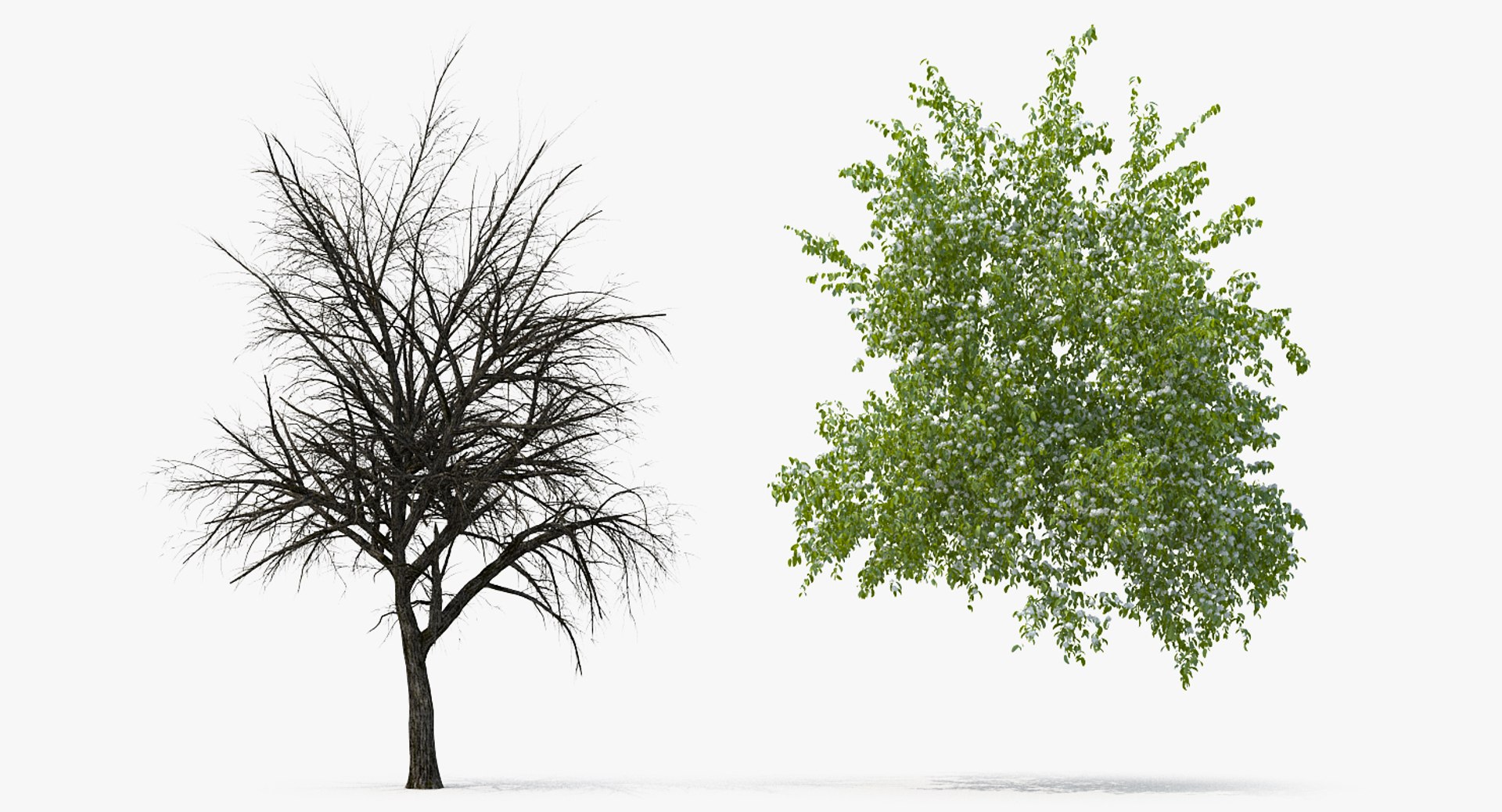 flowering bushes trees 5 3D https://p.turbosquid.com/ts-thumb/Hz/bYCAkO/cCJbFKO4/floweringbushesandtreescollection53dmodel041/jpg/1585054192/1920x1080/fit_q87/c62a75ee03407a729b73232ba456e9dd3c1a048c/floweringbushesandtreescollection53dmodel041.jpg