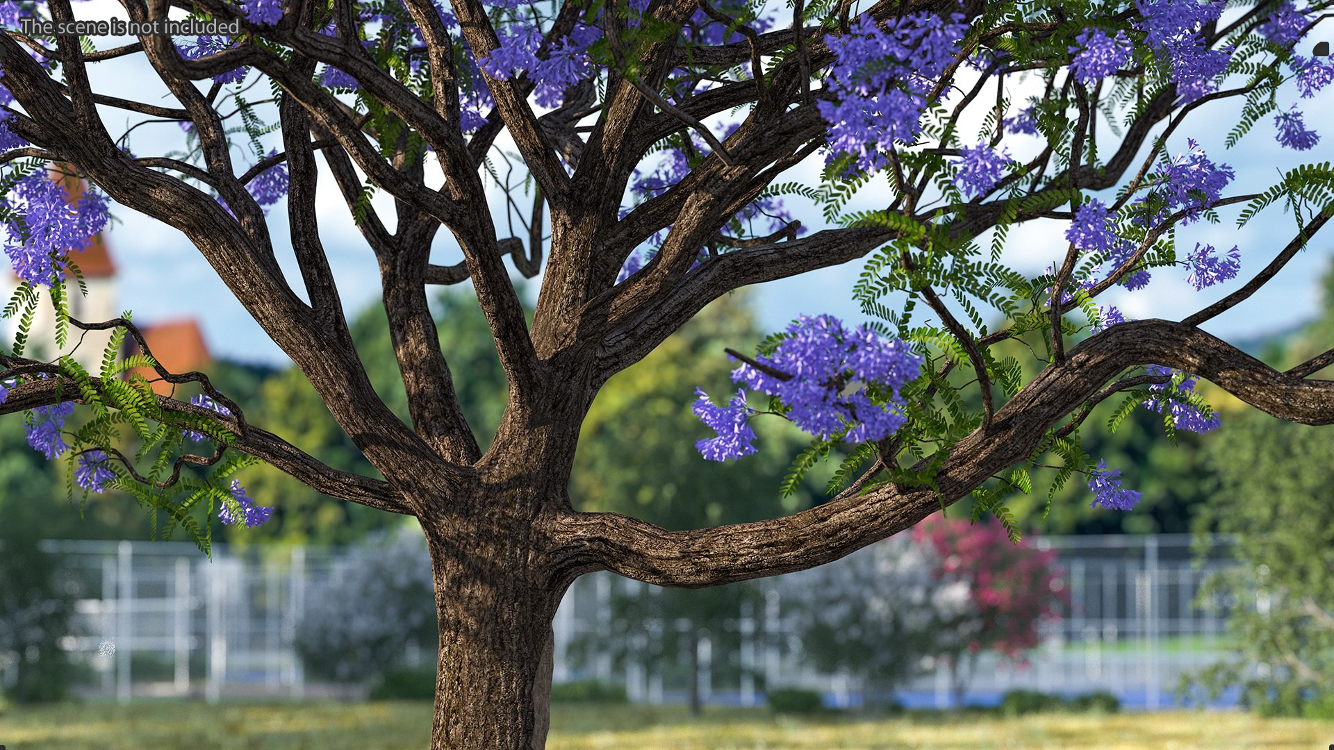 flowering bushes trees 5 3D https://p.turbosquid.com/ts-thumb/Hz/bYCAkO/qMCEsjYq/floweringbushesandtreescollection53dmodel005/jpg/1585054132/1920x1080/fit_q87/0a69d2e4176144b515e95525f78bd359881063ba/floweringbushesandtreescollection53dmodel005.jpg
