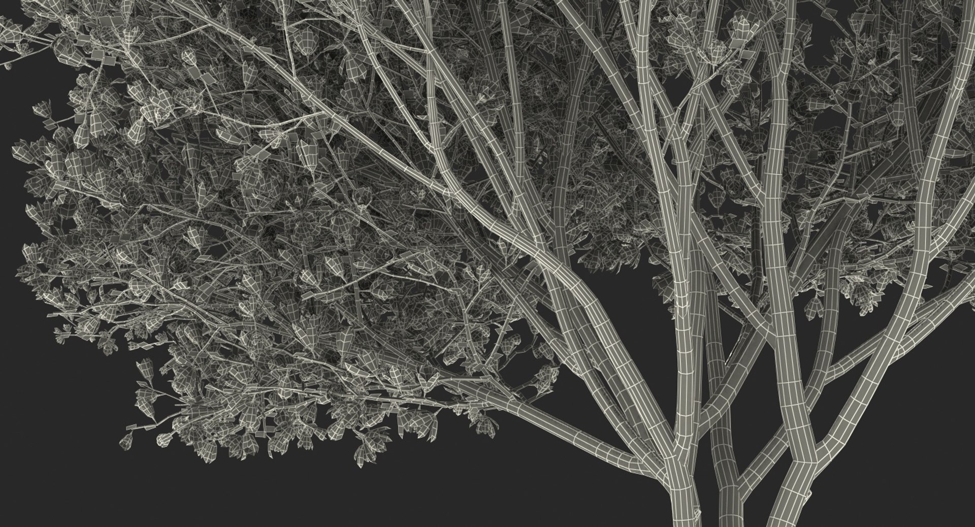flowering bushes trees 5 3D https://p.turbosquid.com/ts-thumb/Hz/bYCAkO/tGcsCXNC/floweringbushesandtreescollection53dmodel084/jpg/1585054265/1920x1080/fit_q87/8b11adf7b47e76c1fade48b10dff77a5d8ff48e6/floweringbushesandtreescollection53dmodel084.jpg