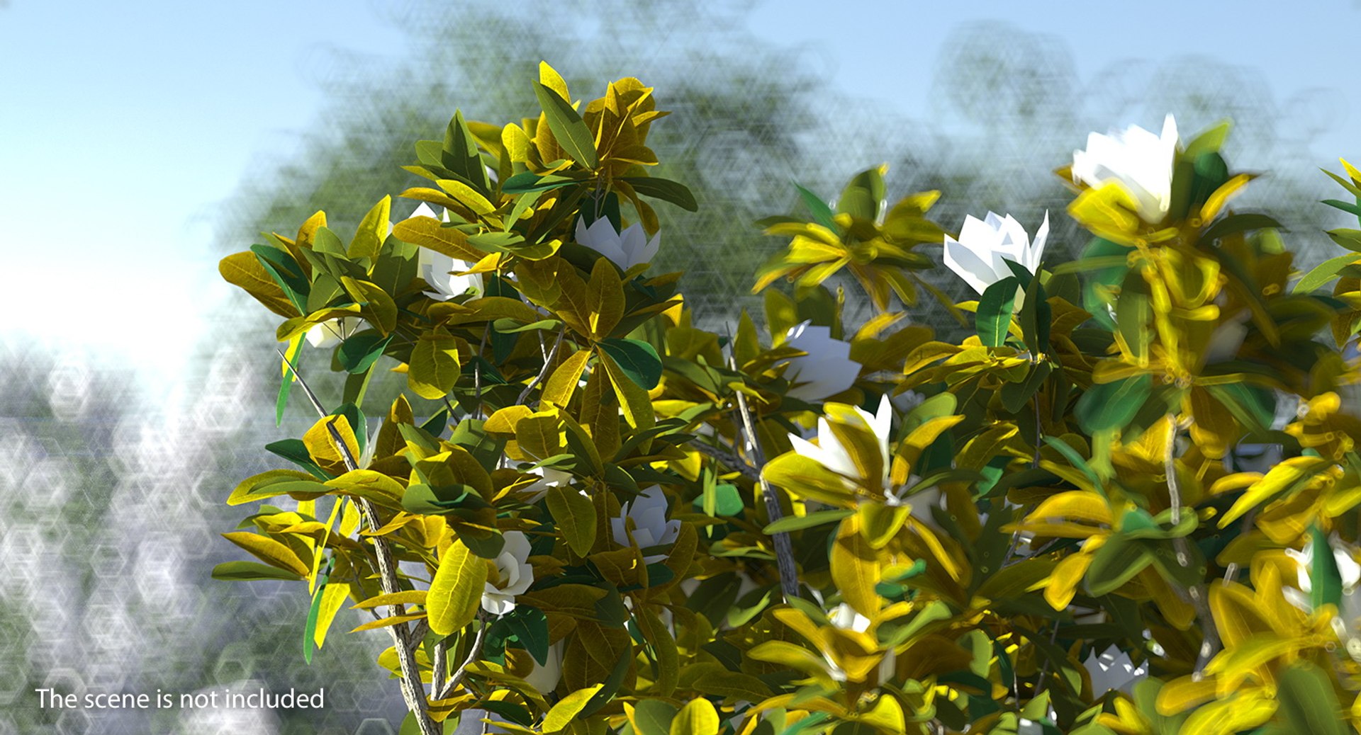 flowering bushes trees 5 3D https://p.turbosquid.com/ts-thumb/Hz/bYCAkO/trQGwx8d/floweringbushesandtreescollection53dmodel047/jpg/1585054203/1920x1080/fit_q87/905a8c5a36618db748d98dcfec4205e06eaf2b2e/floweringbushesandtreescollection53dmodel047.jpg