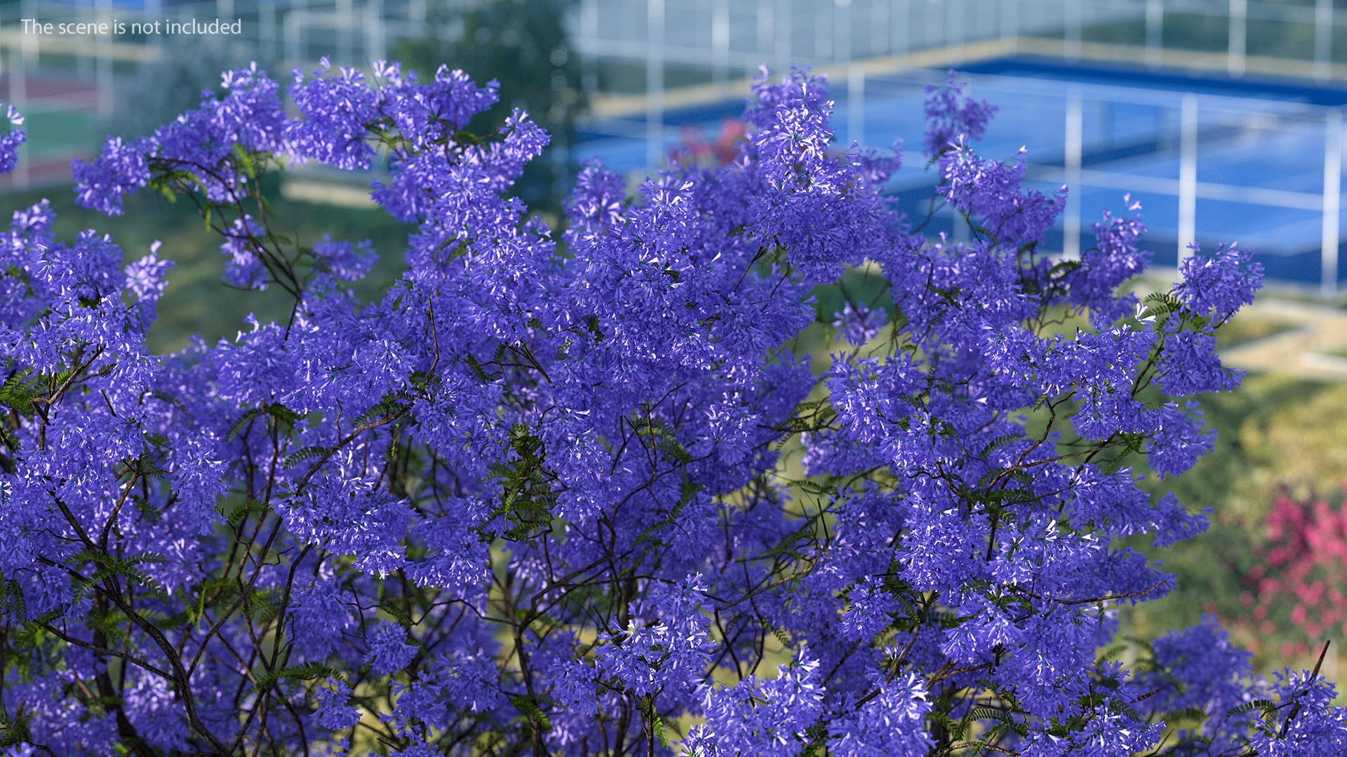 flowering bushes trees 5 3D https://p.turbosquid.com/ts-thumb/Hz/bYCAkO/xkjGWcfJ/floweringbushesandtreescollection53dmodel006/jpg/1585054134/1920x1080/fit_q87/f92e2649fc32c5e1af84521f7e0b7107254b8447/floweringbushesandtreescollection53dmodel006.jpg