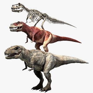 3D ceratosaurus v-ray rigged