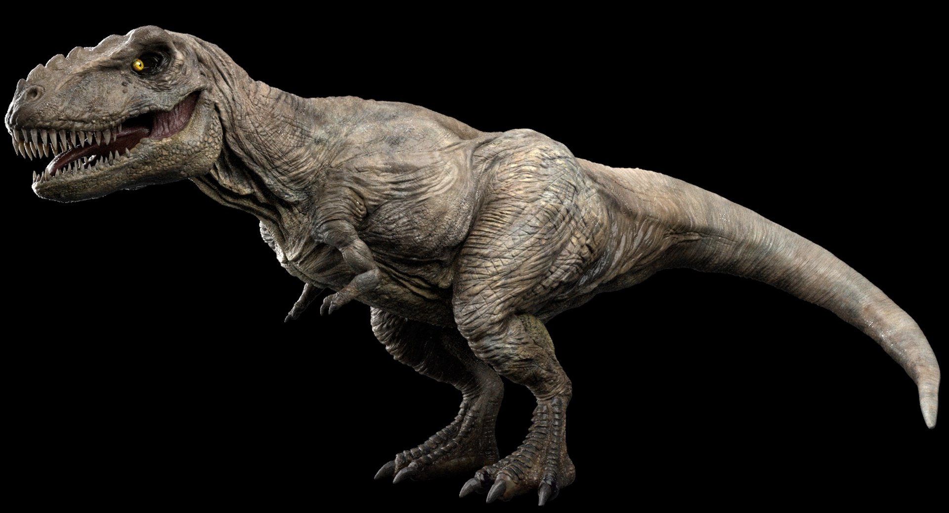 3D Ceratosaurus V-ray Rigged - TurboSquid 1386912