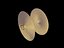Strumenti Percusive