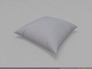 3d cushion