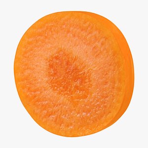 realistic carrot slice 3D