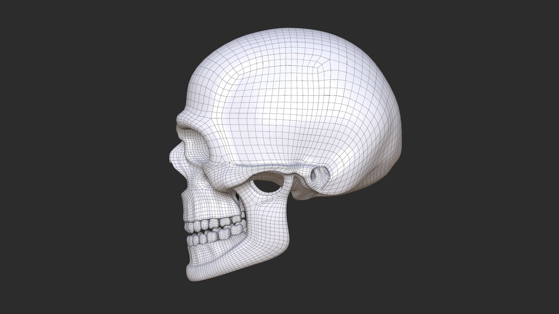 Skul 3D Model - TurboSquid 1730238