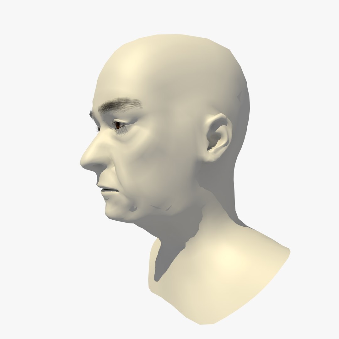 Realistic Head Base Mesh 3D - TurboSquid 1438814