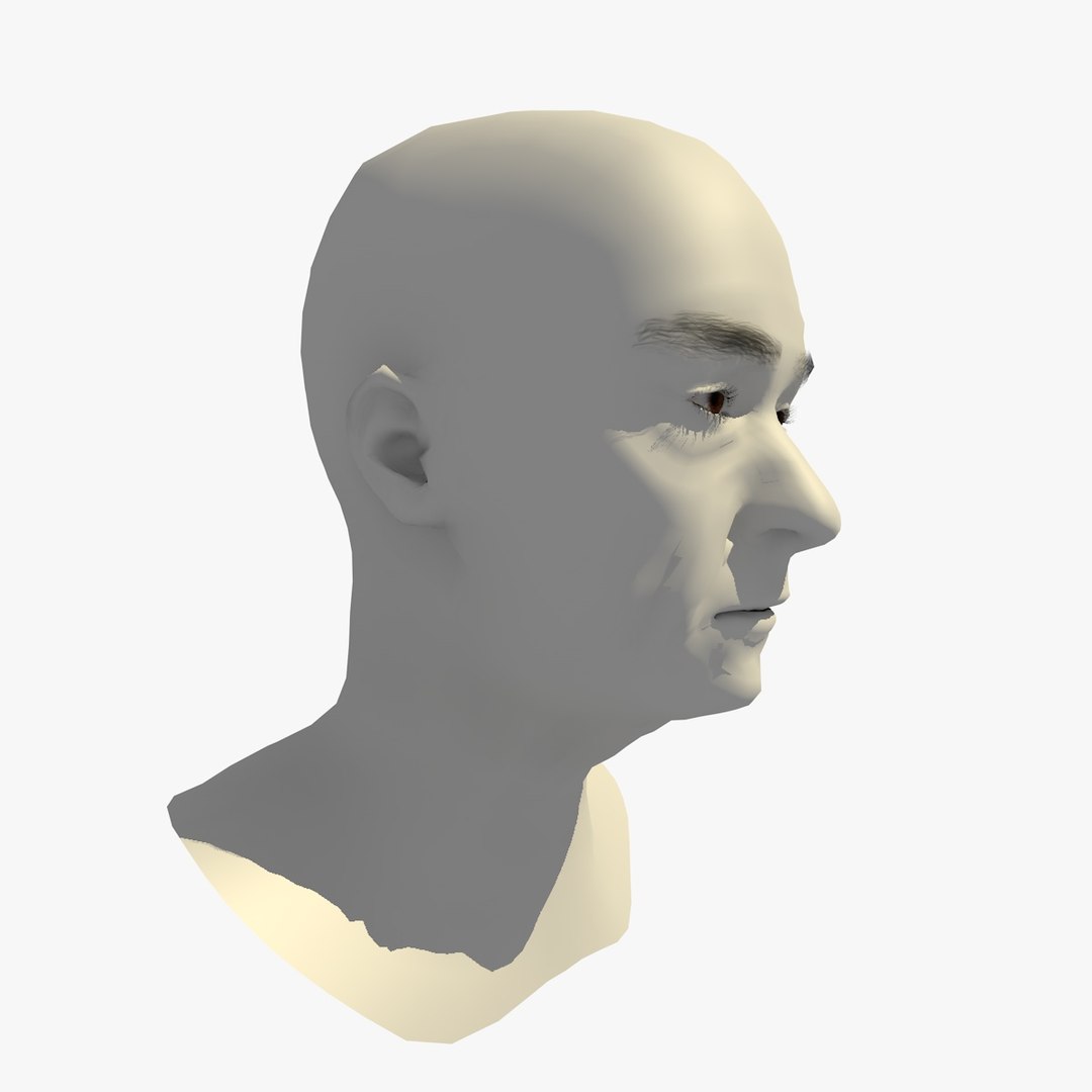 Realistic Head Base Mesh 3D - TurboSquid 1438814