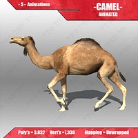 Camel Animated