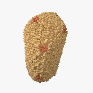 3D HIV Capsid