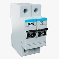 Electric Automatic Switch B25 2-Poles