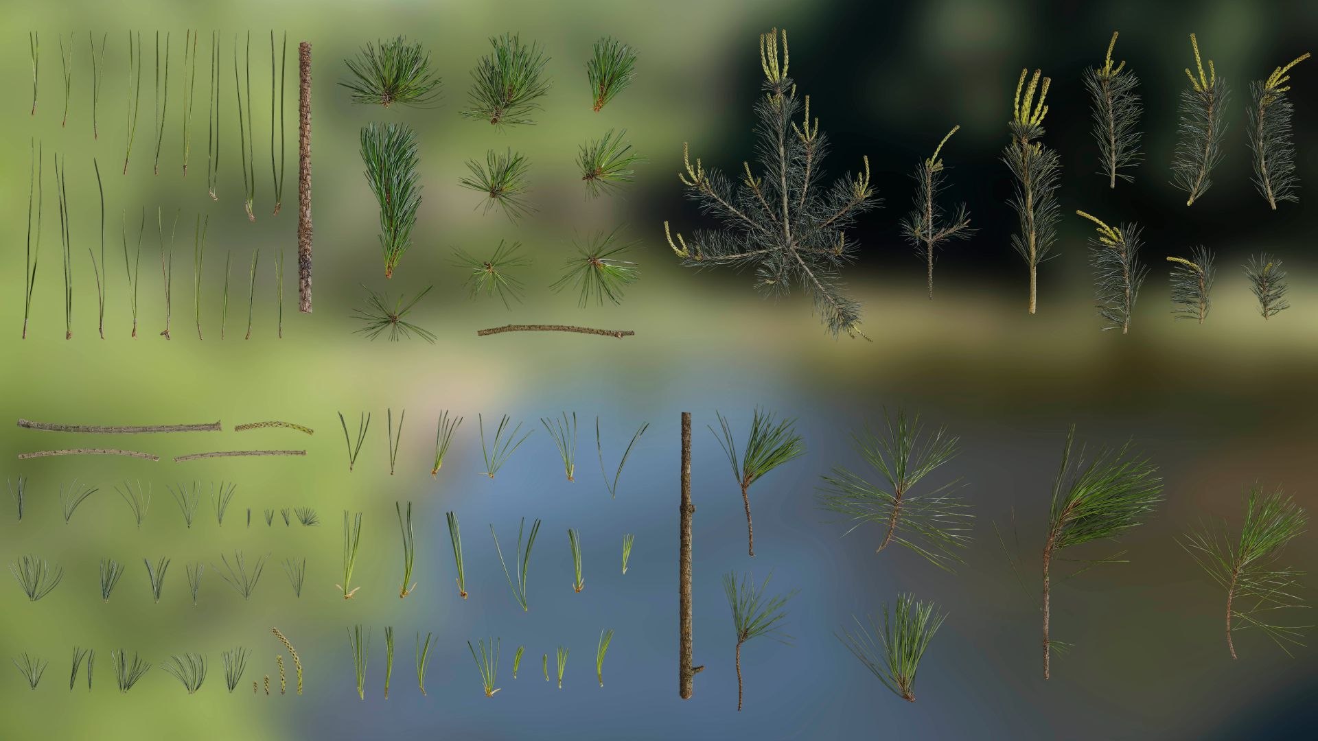 Anydrafts Pine Needle Textures Pack 3D - TurboSquid 2323657