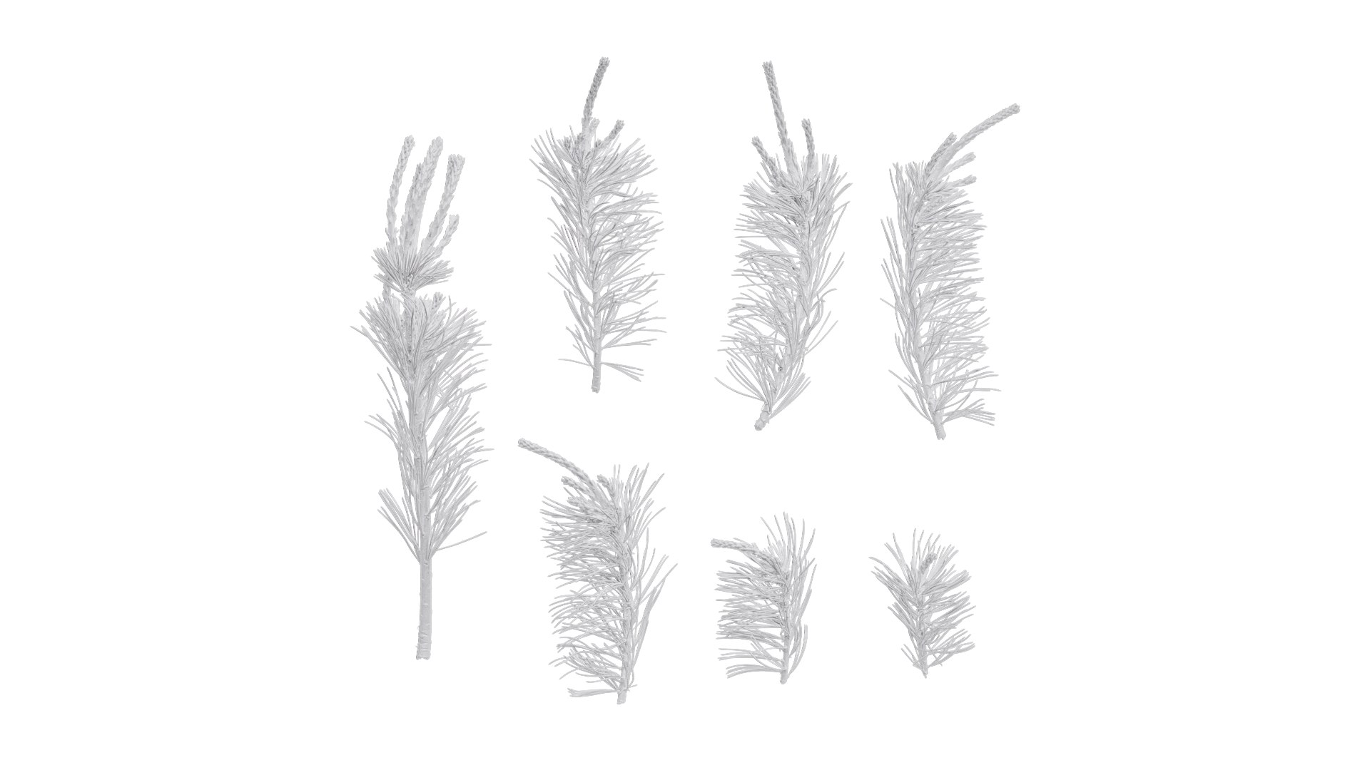 Anydrafts Pine Needle Textures Pack 3D - TurboSquid 2323657
