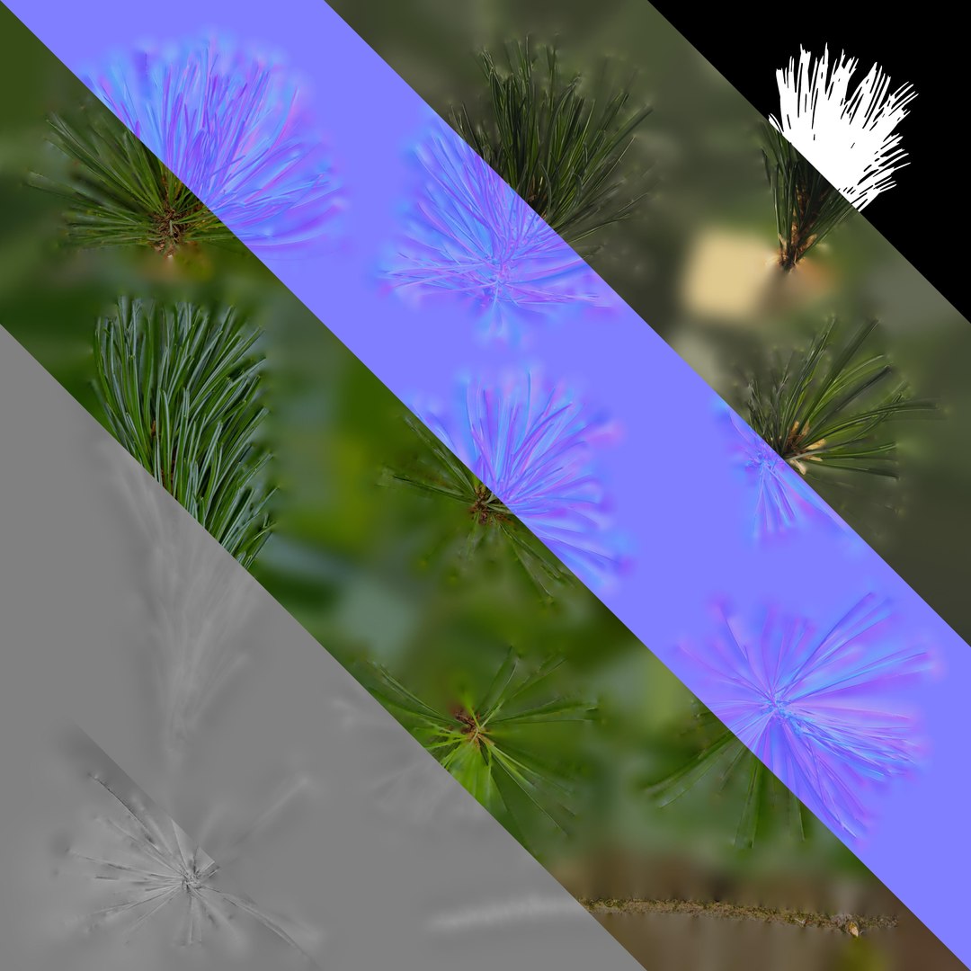 Anydrafts Pine Needle Textures Pack 3D - TurboSquid 2323657
