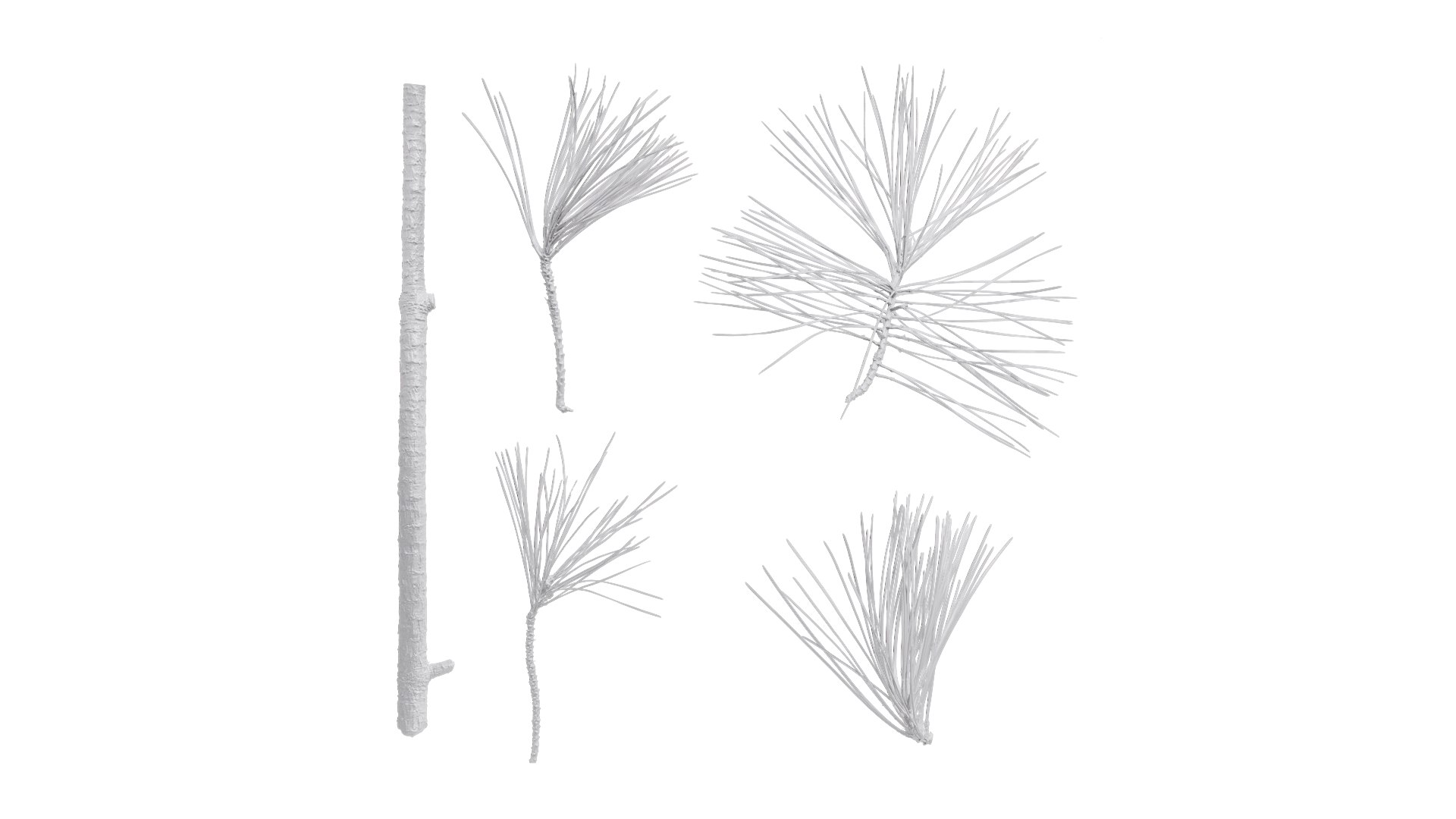 Anydrafts Pine Needle Textures Pack 3D - TurboSquid 2323657