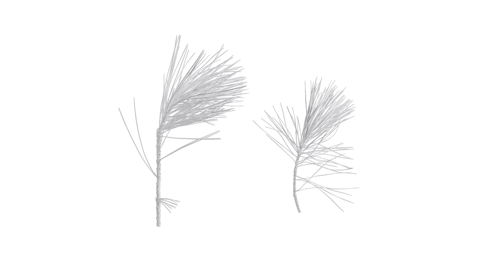 Anydrafts Pine Needle Textures Pack 3D - TurboSquid 2323657