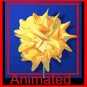 3d flower animation model