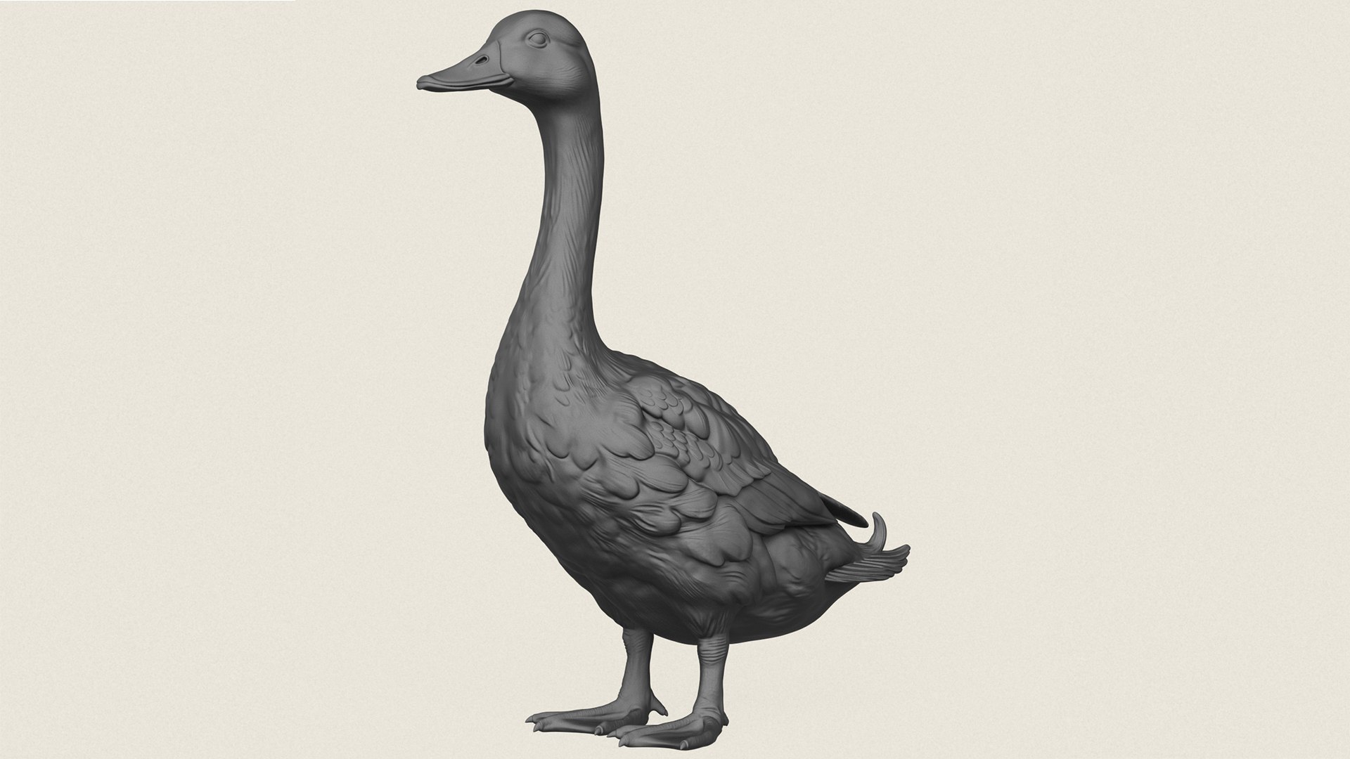 Wild Duck Print Ready 3D Model 3D model https://p.turbosquid.com/ts-thumb/I0/az5OgN/4L/wildduck01/jpg/1786689682/1920x1080/fit_q87/ccfe2169f86dab3069053094fb1fec968620aa8e/wildduck01.jpg