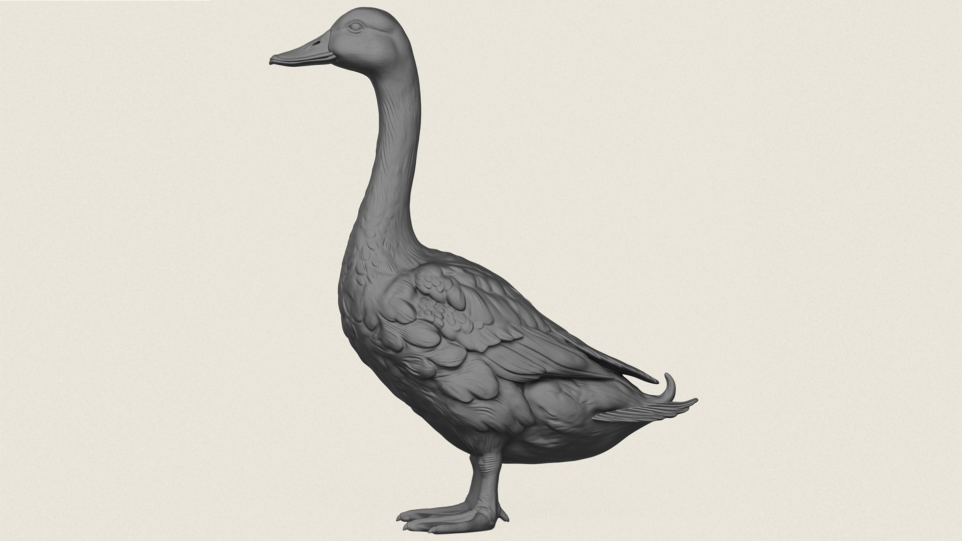 Wild Duck Print Ready 3D Model 3D model https://p.turbosquid.com/ts-thumb/I0/az5OgN/69/wildduck04/jpg/1786689697/1920x1080/fit_q87/5bb8b8948939966600a693657aae449812e00d5e/wildduck04.jpg