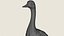 Wildente – Druckfertiges 3D-Modell