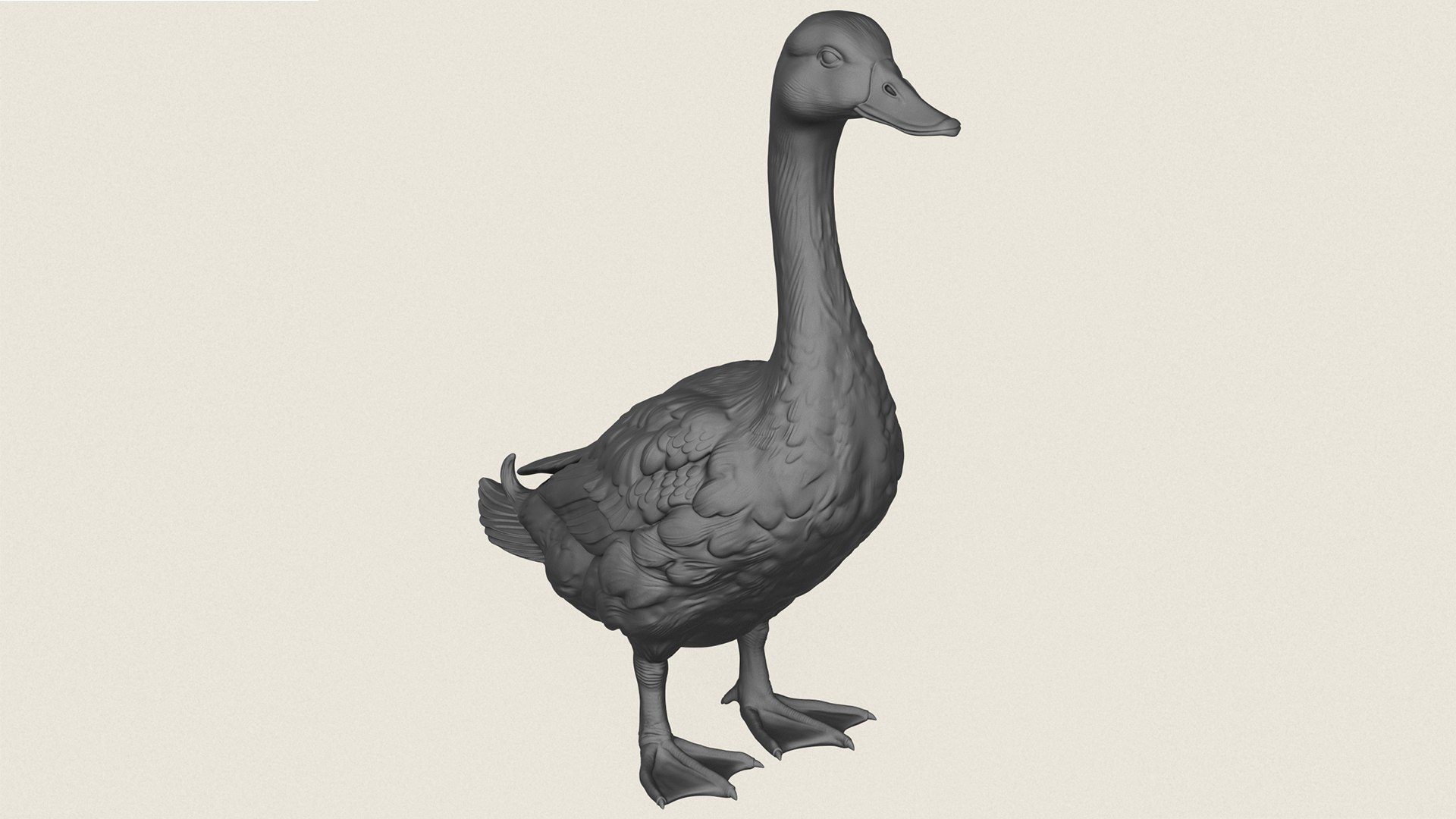 Wild Duck Print Ready 3D Model 3D model https://p.turbosquid.com/ts-thumb/I0/az5OgN/ie/wildduck06/jpg/1786689701/1920x1080/fit_q87/6e74297b23fc8bd52bd2efc5681583c44e0c6bdc/wildduck06.jpg