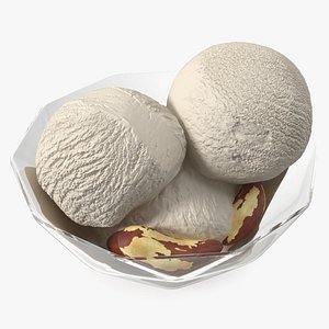 Ice Cream with Brazil Nuts model