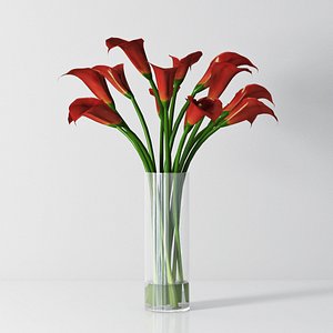 calla lily 3d model