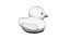 Dirty Rubber Duck