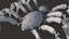 Spider Bot HD