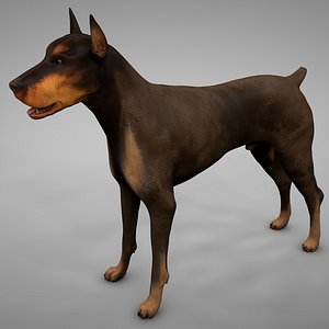 3D Doberman Models | TurboSquid