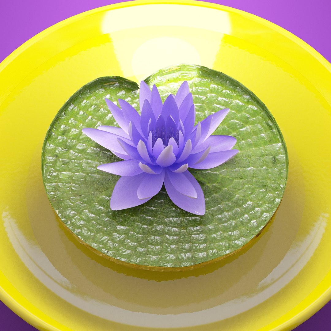 3d studio flower model https://p.turbosquid.com/ts-thumb/I0/zczlOM/HcmiolfX/lotus_lightbox_purple_1/jpg/1364247335/1920x1080/fit_q87/aa71c5c0a2cf1ab6a714c4b9daf677acc816a47b/lotus_lightbox_purple_1.jpg