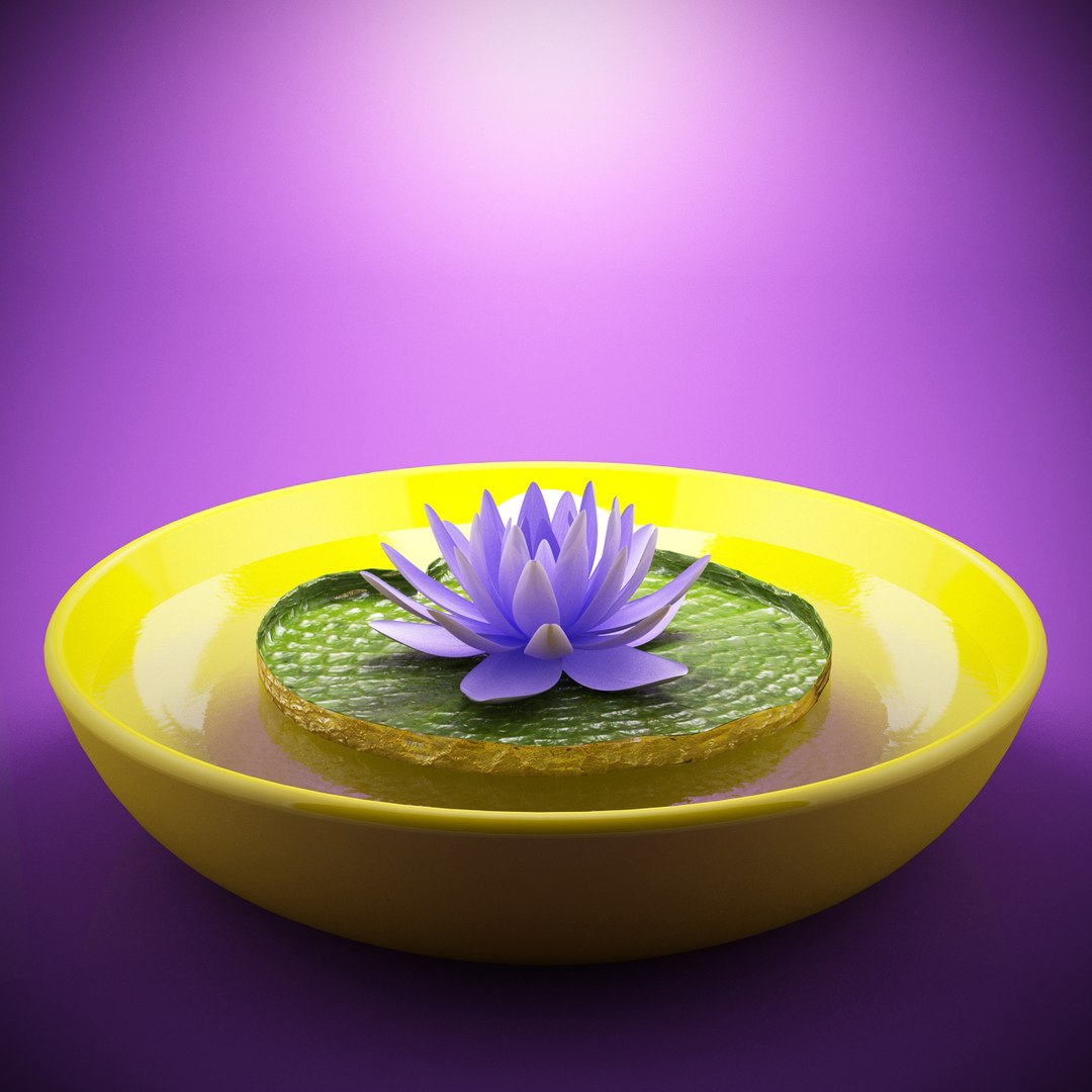 3d studio flower model https://p.turbosquid.com/ts-thumb/I0/zczlOM/RhPLTkKR/lotus_lightbox_purple_ps/jpg/1364247335/1920x1080/fit_q87/8b0e895001fe51499676db77ecce70f270d07961/lotus_lightbox_purple_ps.jpg