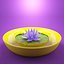 lotus flower