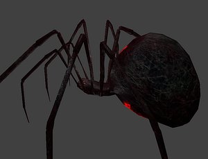 Blackwidow Videogames