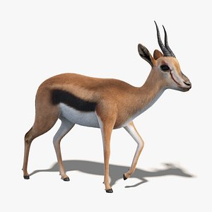 gazelle fur rigging 3D model