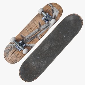 Rigged Skateboard