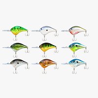 DT Crankbait
