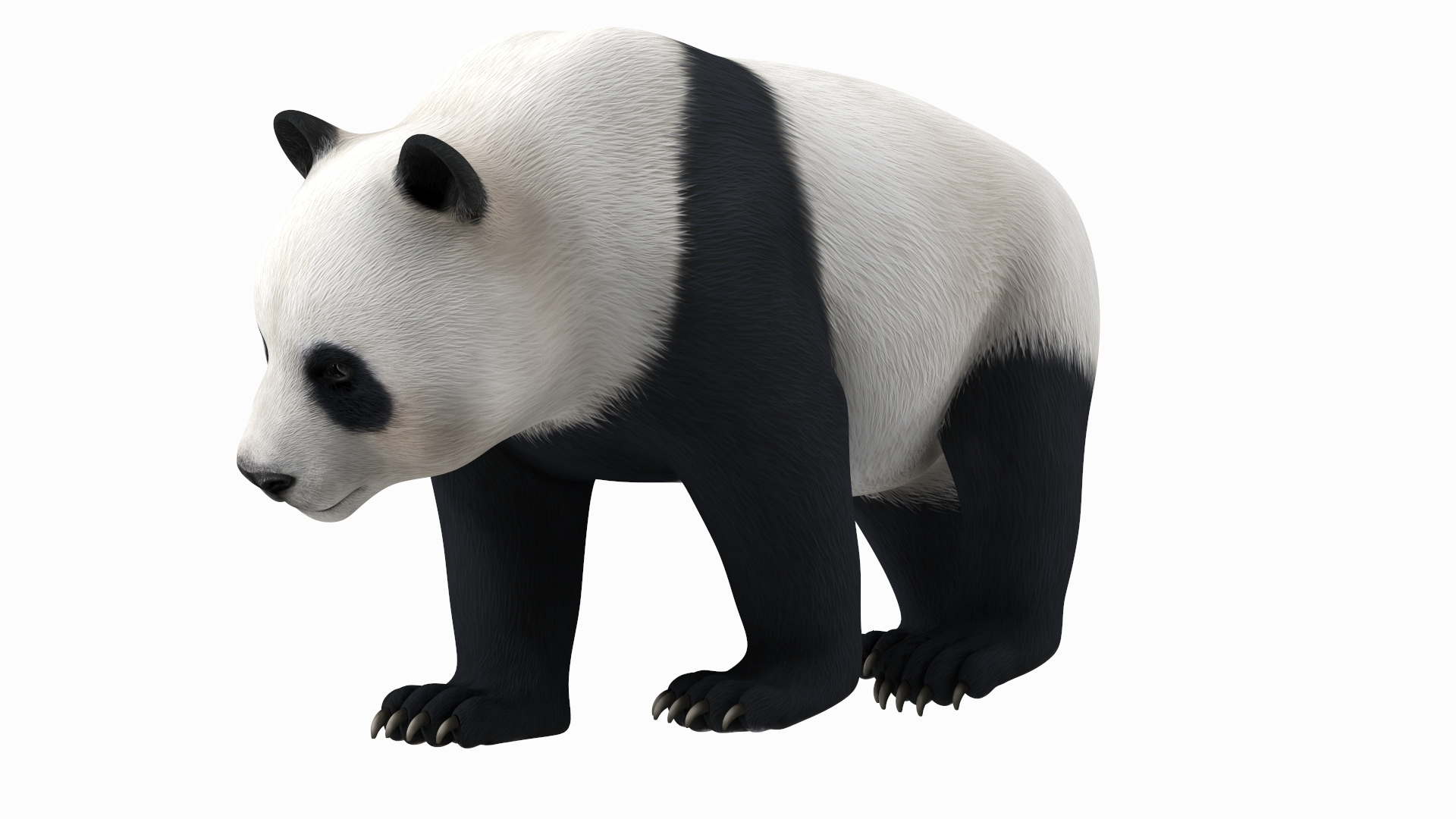 193,371 Panda Images, Stock Photos, 3D objects, & Vectors