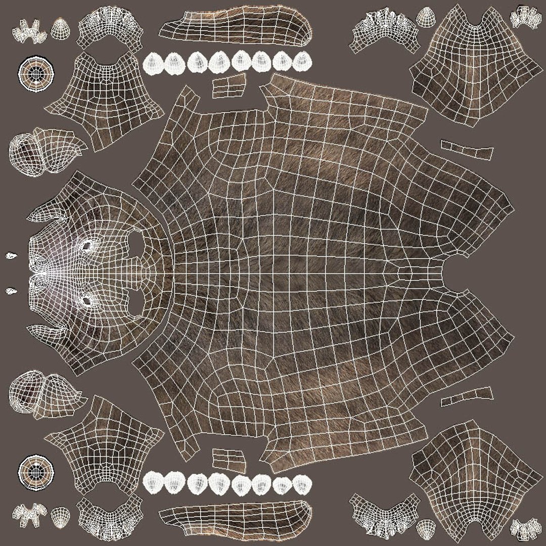 Bush Dog 3D model - TurboSquid 2183478