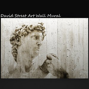 David Street Art Wall Mural