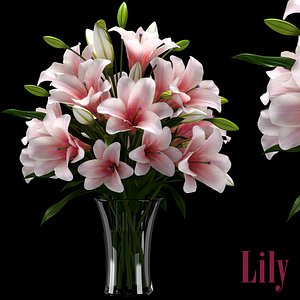 lily 2 3d model