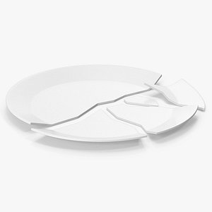 3D Broken Ceramic Plate model