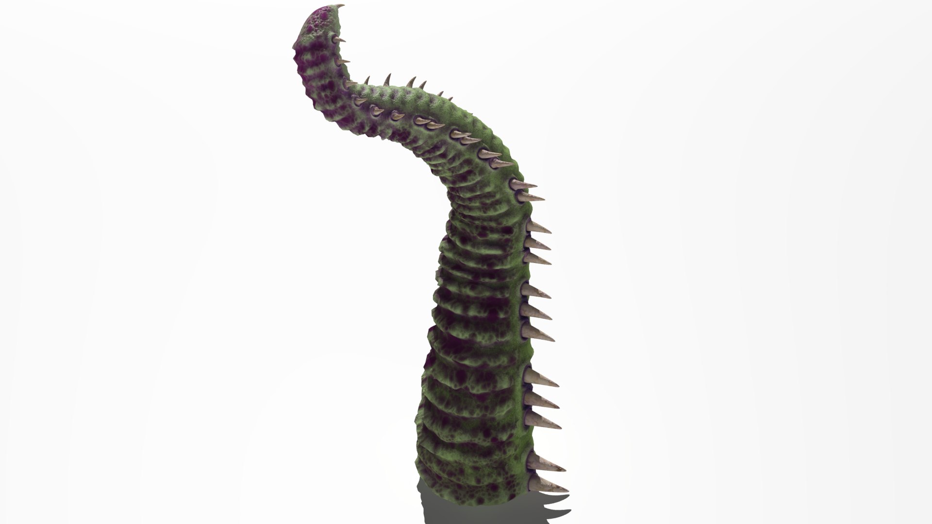 3D Rigged Worm Tentacle - TurboSquid 1582543