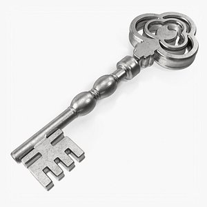 3D Key Silver 13 model