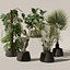 20 Photorealistic Flowers for Interiors - set 126 131 140 139 model