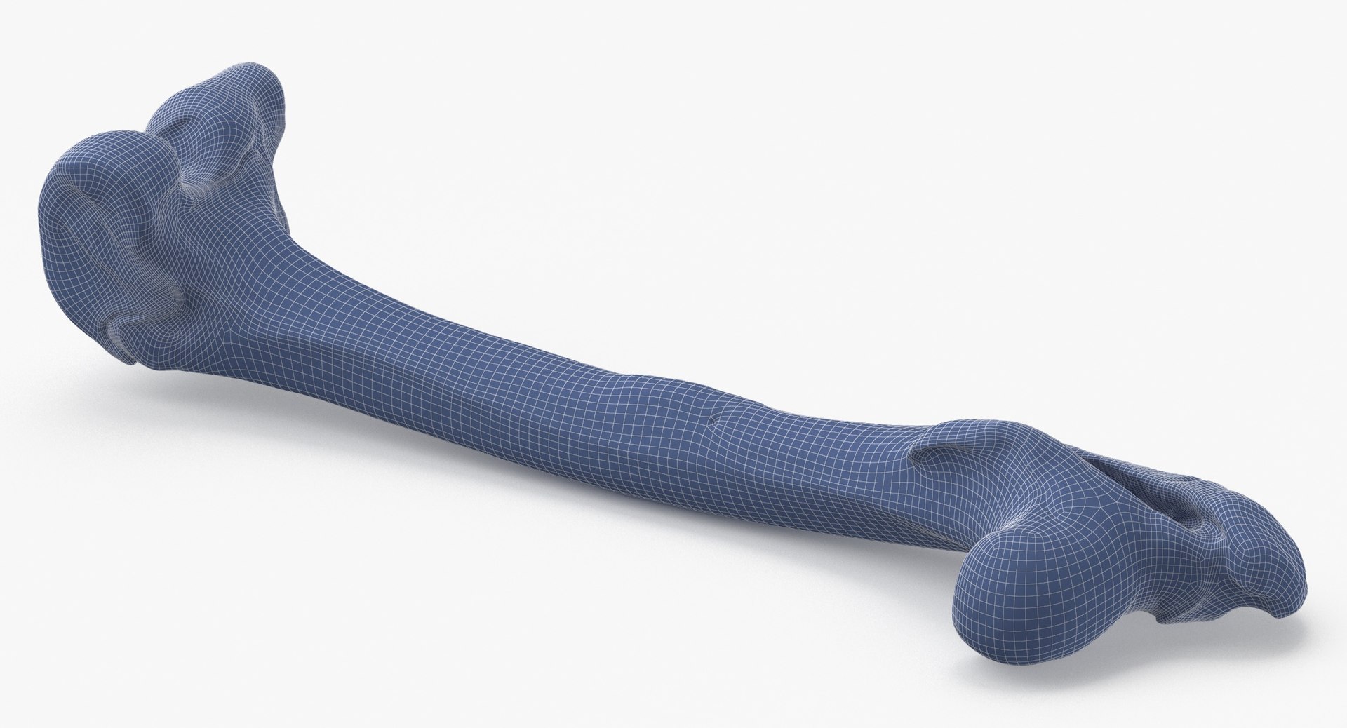 Kangaroo Red Necked Wallaby Femur 01 3D https://p.turbosquid.com/ts-thumb/I2/4vKYks/jX/kangaroo_red_necked_wallaby_femur_01_wireframe_0005/jpg/1683908790/1920x1080/fit_q87/35a3fdcd850540898ffe92619ed421175d9fc01b/kangaroo_red_necked_wallaby_femur_01_wireframe_0005.jpg