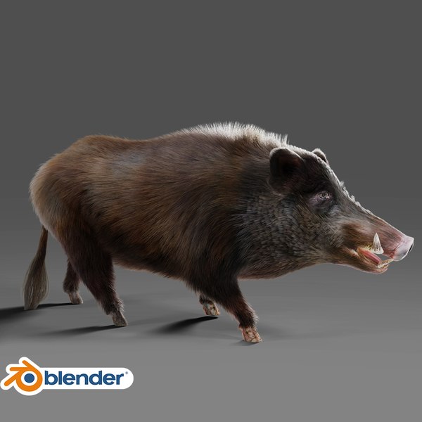 Black Wild Boar Rigged V06 in Blender 3D 모델 - TurboSquid 1991713