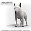 BULL TERRIER