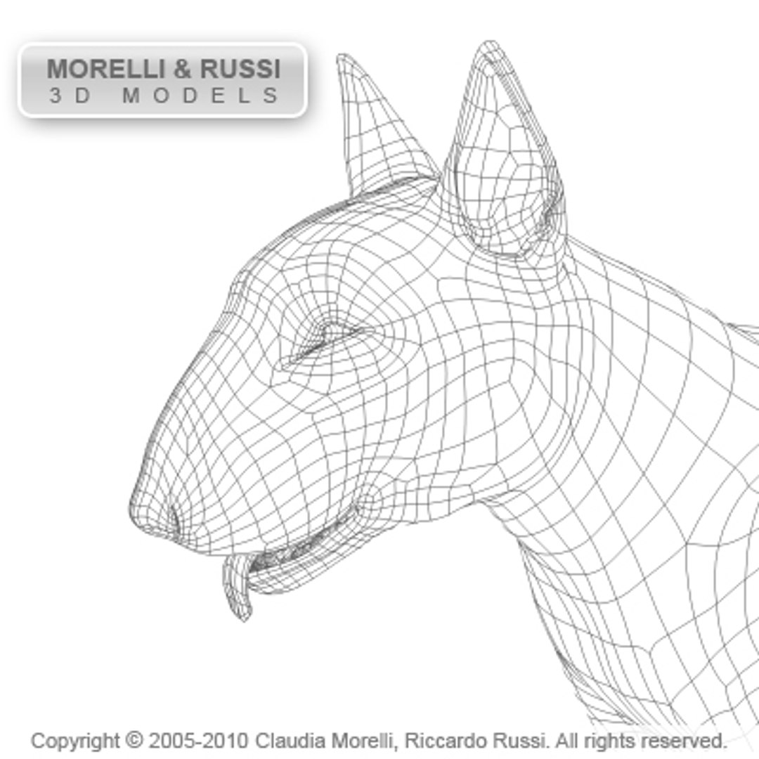 c4d bull terrier https://p.turbosquid.com/ts-thumb/I2/9yWj7C/RKkPeCnm/bullterrierhqwire06/jpg/1284981080/1920x1080/fit_q87/fda4f3fa1e916c6f07c6af0656659f5b12daeab9/bullterrierhqwire06.jpg